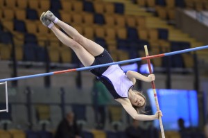 Pole Vault: course on February 22